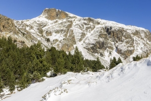 山 雪 树 斜坡 4k壁纸 3840x2160