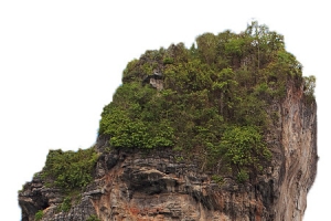 山和植物