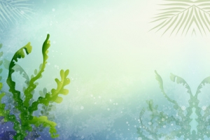 海底清新梦幻背景banner