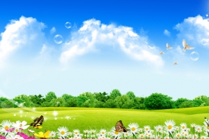 蓝天白云草地鲜花背景素材
