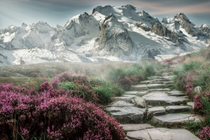 山峰 高山 花 4k风景图片