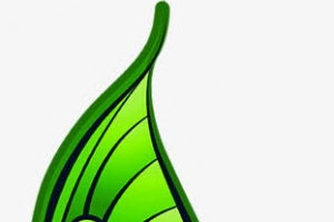 绿色飞翔的蝴蝶卡通装饰
