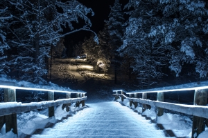 冬天,雪,夜晚,树林,栅栏,小路,风景图片