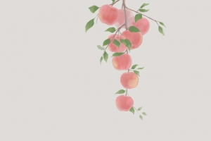 苹果 绘画 简约 4K壁纸 3840x2160