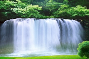 瀑布鲜花背景