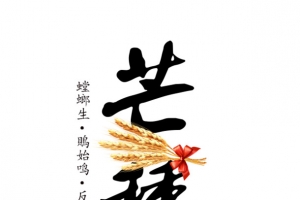 芒种艺术字