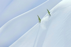 雪地风景