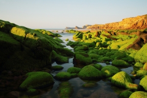 天空,海洋,岩石,石头,海藻,风景图片