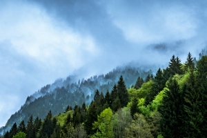 山林风景绿色蓝色旅行电商海报背景