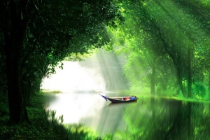 朦胧光 湖面 小船 树林 风景