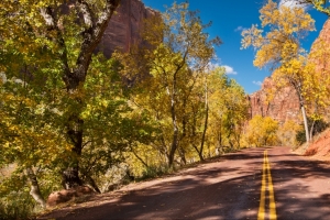 美国锡安国家公园Zion NP路风景3440x1440壁纸