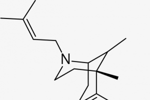 简洁卡通化学公式