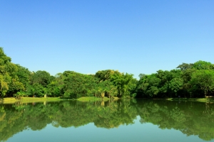 湖 公园 树木 天空 4K风景壁纸