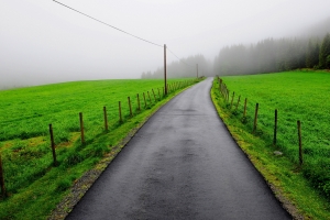 道路,围栏,雾,草地,树林,风景图片