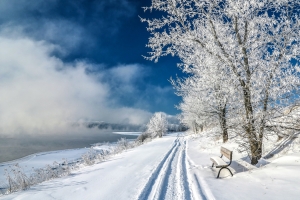 雪,冬天,道路,树木,椅子,风景图片