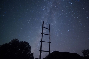 楼梯 星空 树木 极简主义 夜间 4k壁纸 3840x2160