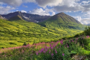 山脉 山谷 花 草 风景 4k壁纸 3840x2160