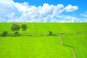 美丽草原风景