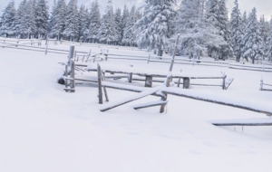 高清摄影小房子冬季雪景