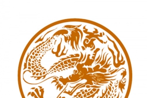 中国龙图腾圆形图案