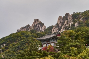 宝塔 寺庙 山 树 4k壁纸 3840x2160