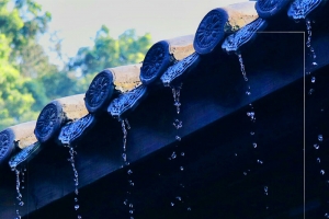 绿色文艺下雨天好雨晴节