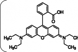 罗丹明B分子结构