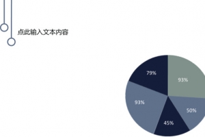 暗色系占比饼图.