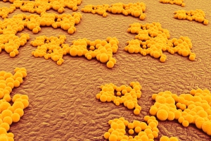 人体细胞细菌等生物高清图片
