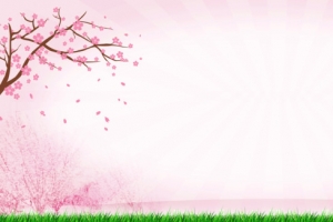 樱花森林