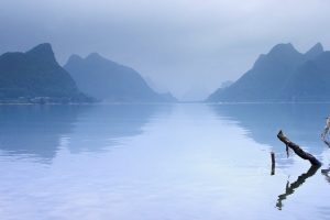 山水库枯木背景图