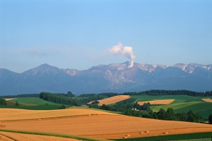 黄色平原田野天空