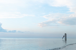 大海河流水域